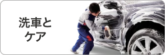洗車とケア